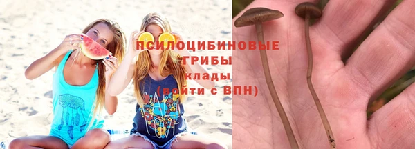 сатива Гусиноозёрск