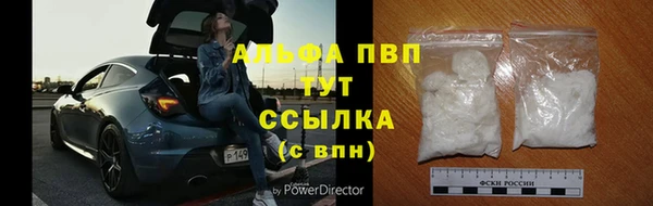 сатива Гусиноозёрск