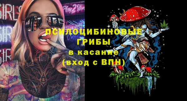 2c-b Горняк