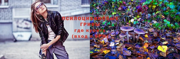 2c-b Горняк