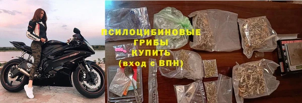сатива Гусиноозёрск