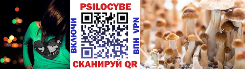 Псилоцибиновые грибы прущие грибы  Купить закладки  Серафимович 